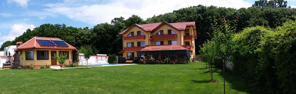 Vila Maria Snagov Hotel Bagian luar foto