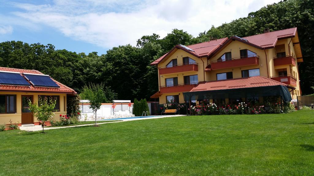 Vila Maria Snagov Hotel Bagian luar foto